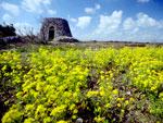 Itinerari Naturalistici