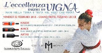 L'eccellenza inizia in vigna