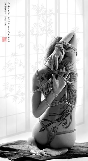 bondage art