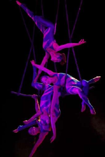 Acrobati
