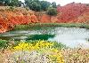 cava di bauxite