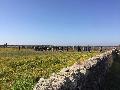 Viaggio nella natura