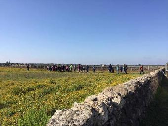 Viaggio nella natura