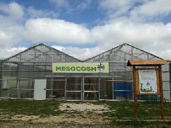 La Foresta Pluviale a portata di mano