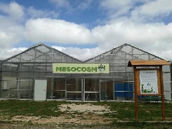 La Foresta Pluviale a portata di mano