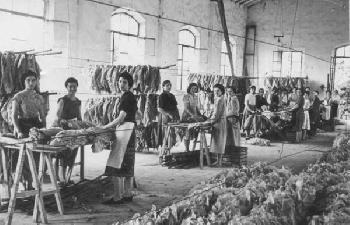 Cenere. Corale per le Tabacchine