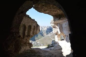 Francigena salentina