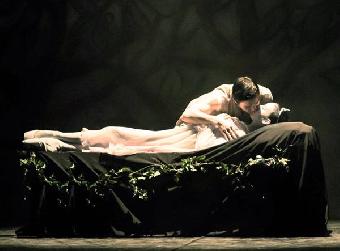 La bella addormentata