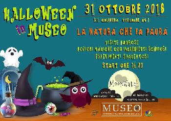 Halloween in Museo